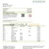 Congo Ecobank bank statement template in Word and PDF (.doc and .pdf) format