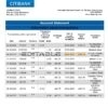 Cote d’Ivoire Citibank bank statement template in Word and PDF format