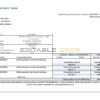 Cyprus Hellenic bank statement template in Word and PDF format