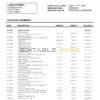 Czech Republic Československá Obchodní Banka bank statement easy to fill template in .xls and .pdf file format