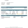 Ecuador Banco Interamericano de Desarrollo (BID) bank statement template in Word and PDF format, good for address prove
