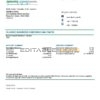 Lebanon Emirates Lebanon Bank statement template in Word and PDF format, good for address prove