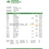 Equatorial Guinea The National Bank of Equatorial Guinea bank statement template in Word and PDF format