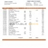 Eritrea Housing and Commerce bank statement template in Word and PDF format