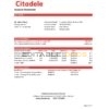 Estonia Citadele banka Eesti filiaal AS bank statement template in Excel and PDF format