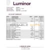 Estonia Luminor bank statement easy to fill template in .xls and .pdf file format