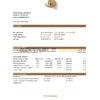 Ethiopia Commercial Bank statement easy to fill template in Excel and PDF format