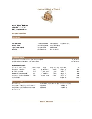 Ethiopia Commercial Bank statement easy to fill template in Excel and PDF format