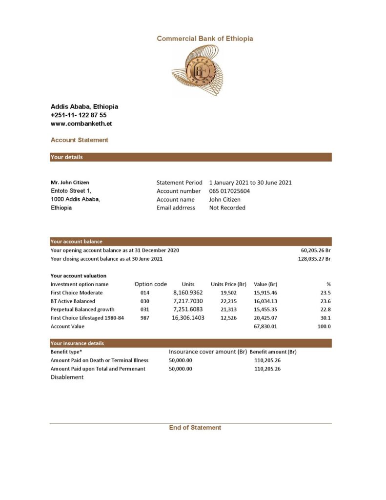 Ethiopia Commercial Bank statement easy to fill template in Excel and PDF format