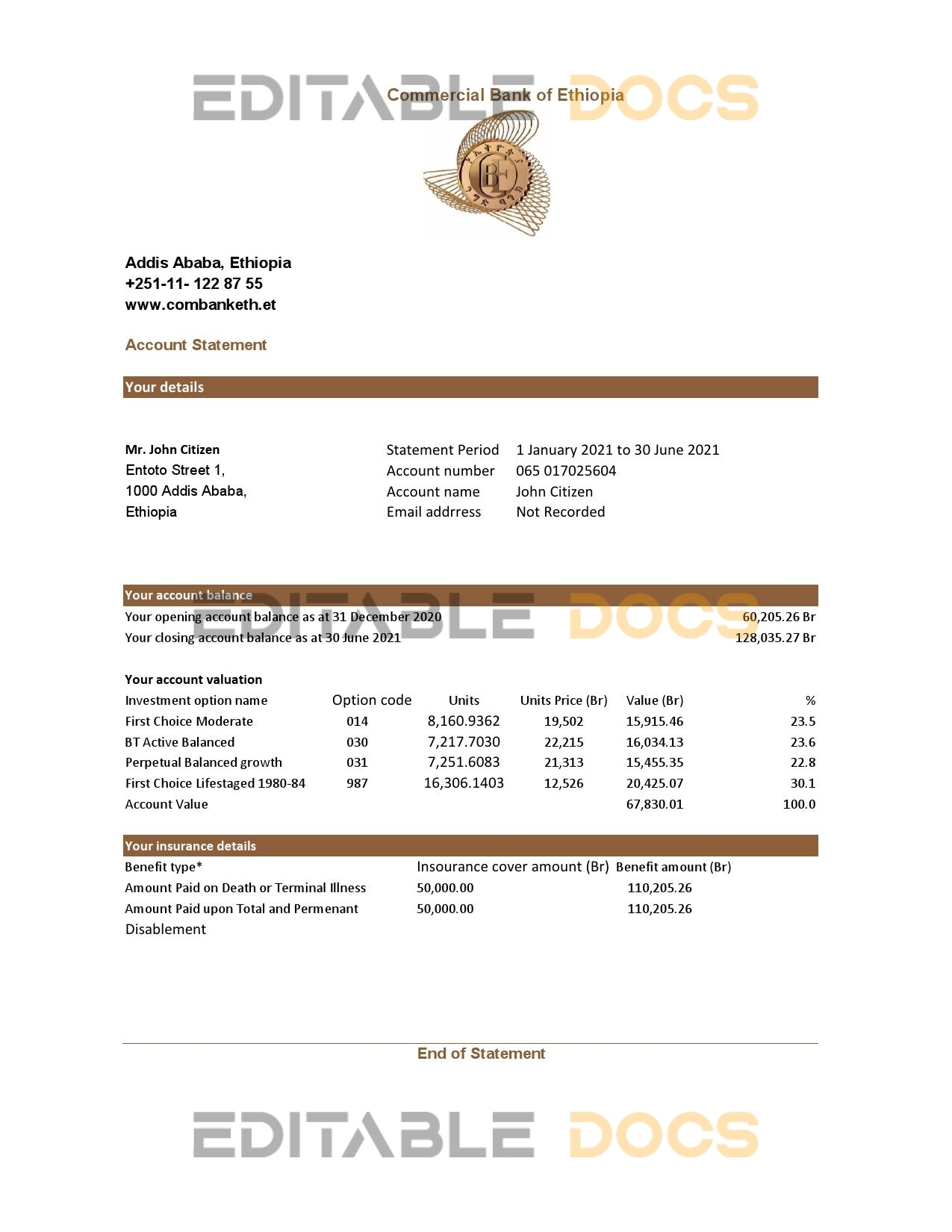 Ethiopia Commercial Bank statement easy to fill template in Excel and PDF format