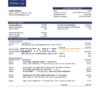 Ethiopia Dashen proof of address bank statement template in Word and PDF format