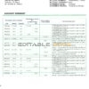Finland Aktia Bank statement template in Word and PDF format