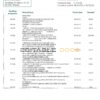 Finland Aland Bank statement template in Word and PDF format