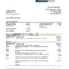 Finland Danske bank statement easy to fill template in .xls and .pdf file format
