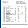 Finland Evli Bank PLC Bank statement template in Word and PDF format
