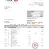France HSBC bank statement template in Word and PDF format