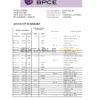 France Groupe BPCE bank statement easy to fill template in Excel and PDF format