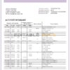 France Groupe BPCE bank statement template in Word and PDF format