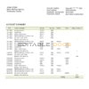 Gambia Arab Gambian Islamic bank statement template in Word and PDF format