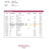 Georgia Basis Bank statement template in Word and PDF format
