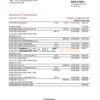 Georgia Liberty Bank statement easy to fill template in Excel and PDF format