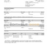 Germany Citibank bank account statement template in Excel and PDF format