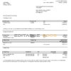 Germany Citibank bank account statement template in Word and PDF format