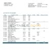 Germany N26 bank statement template in Word and PDF format