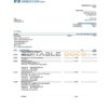 Germany Volksbank Jever statement template in Word and PDF format