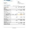 Guinea Fibank bank statement template in .xls and .pdf file format