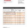 Guyana Bank of Nova Scotia bank statement template in Word and PDF format