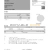 Hong Kong Bank of China (Hong Kong) bank statement easy to fill template in Excel and PDF format
