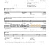Hong Kong Citibank credit card statement template in .xls and .pdf file format