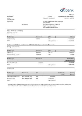Hong Kong Citibank credit card statement template in .xls and .pdf file format
