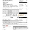 Hong Kong HSBC bank Visa Platinum credit card statement template in .xls and .pdf file format