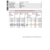 Hong Kong Scotiabank bank statement easy to fill template in Excel and PDF format