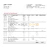 Hungary Budapest Bank – Szolnoki Fiók bank statement template in Word and PDF format