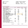 Hungary MKB Bank statement template in Word and PDF format