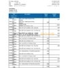 Iceland Arion Bank statement easy to fill template in .xls and .pdf file format