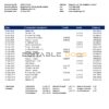 Iceland Kaupthing bank statement template in Word and PDF format