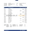 Iceland Kaupthing Bank statement easy to fill template in Excel and PDF format