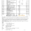 India Axis Bank statement template in Word and PDF format (2 pages)