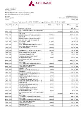 India Axis Bank statement template in Word and PDF format (2 pages)