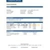 India Federal Bank statement easy to fill template in .xls and .pdf file format