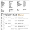 India Finacle bank statement in Word and PDF format (2 pages)