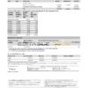 India ICICI Bank statement template in Excel and PDF format (2 pages)