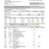 India ICICI Bank statement template in Excel and PDF format (2 pages)