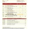 India ICICI Bank statement template in .xls and .pdf file format