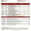India ICICI Bank statement template in .doc and .pdf format