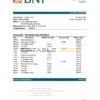 Indonesia Bank Negara Indonesia (BNI) bank statement easy to fill template in Excel and PDF format